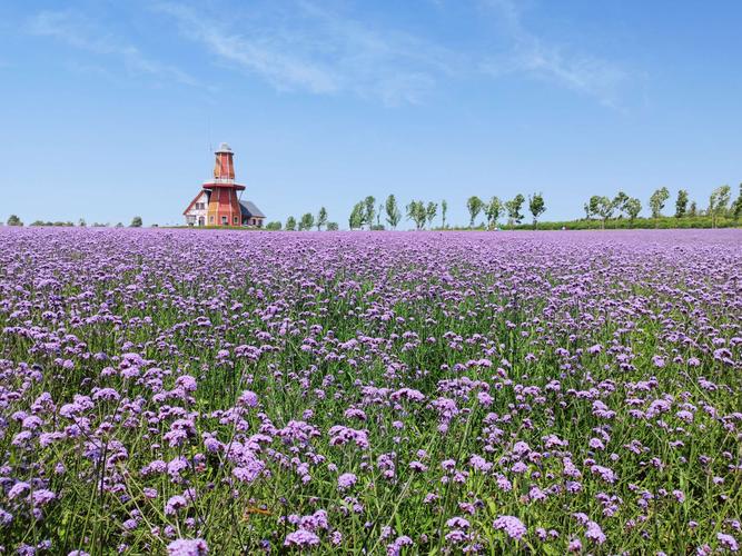 薰衣草庄园什么季节去_薰衣草庄园什么季节去最好