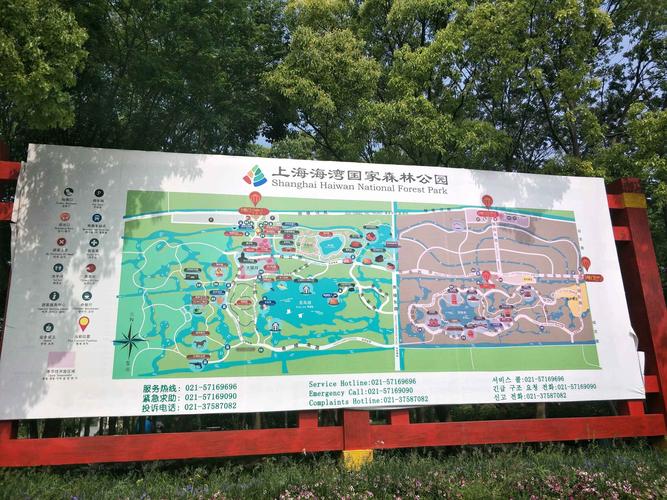 上海海湾国家森林公园介绍_上海海湾国家森林公园介绍图片