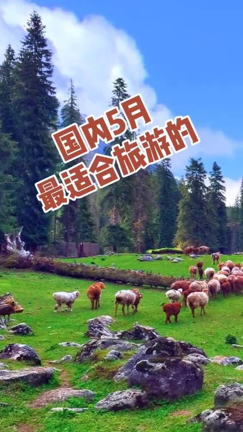 5月中旬适合去哪里旅游_5月中旬去哪玩