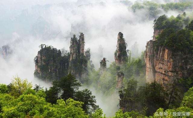 张家界和黄山哪个更值得去_张家界好还是黄山好