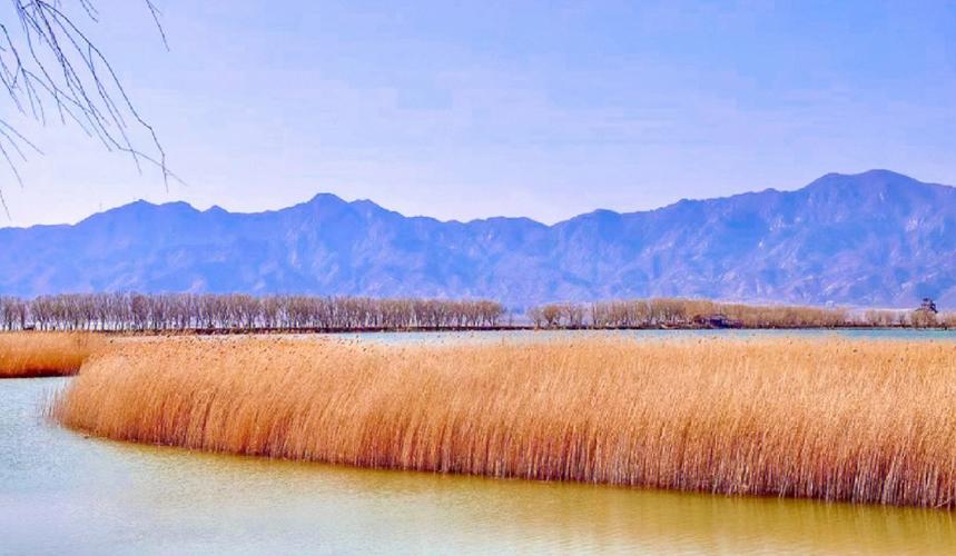 野鸭湖国家湿地公园_北京野鸭湖国家湿地公园