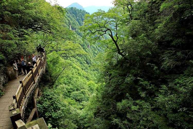 神农架风景区在哪里_神农架风景区在哪里省