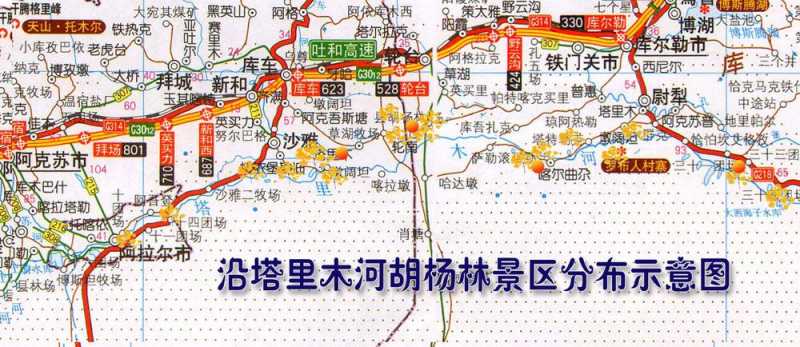 胡杨林旅游线路_胡杨林自驾游旅游攻略路线